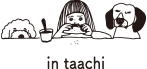 in taachi